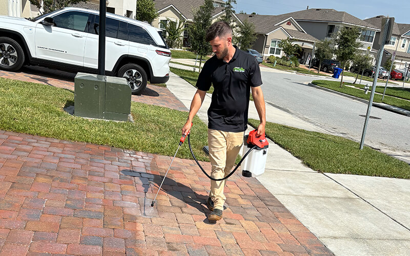 Restoration services