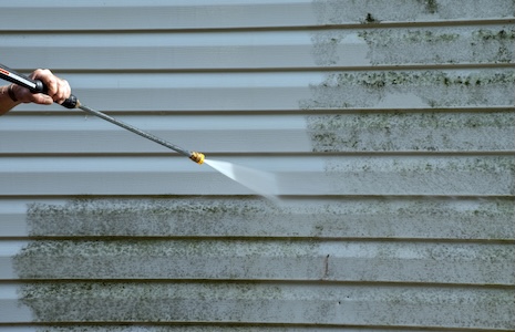 How Florida’s Humidity Causes Mold, Mildew, and Algae on Your Home
